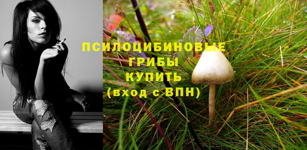круглые Аркадак