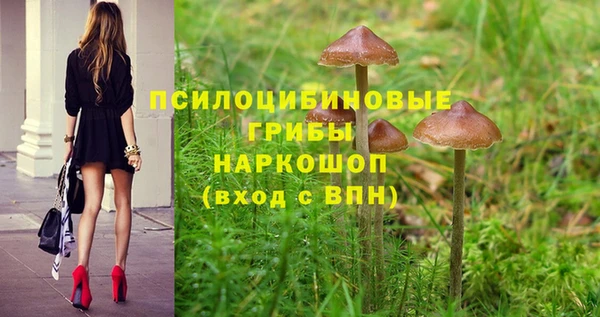 метадон Армянск